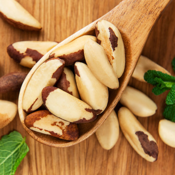 Exploring the Health Benefits of Brazil Nuts Sangla Foods FMCG Distributor & Wholesaler Malaysia